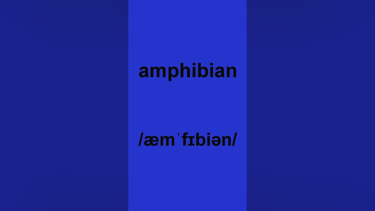 How to pronounce "amphibian" in American English #americanpronounce #