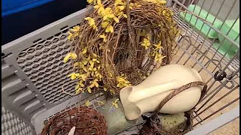 Did I seriously just find THIS at the Goodwill Outlet Bins???? • thrift with me