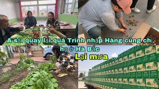 #390🇨🇳A sải Về trời Mưa tầm tã,có Quay lại quá trình Nhập Hàng cùng chị họ ở Hà Bắc