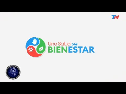 TN CONBIENESTAR (Programa completo 17/07/2022)