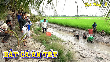 Cả Xóm Bắt Cá Ăn Tết Cá Vui Như Hội, Thưởng Thức Cá Nướng, Cháo Cá Lóc Đã Thèm/Fishing/NGÃ NĂM TV