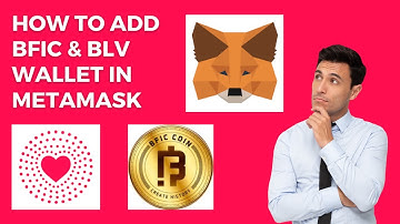 how to set-up BFIC and BLV wallet in metamask