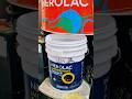 Nerolac Impressions Kashmir High Sheen #trending #trendingshorts #nerolacpaints #painting #wall #art