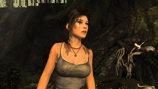 Tomb Raider GTX 980 Ti SLI 1440p