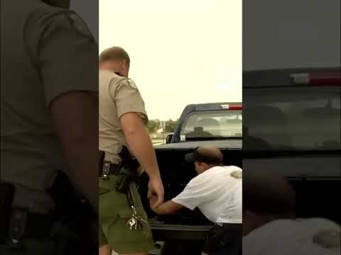 Florida Man Walks Alligator On Leash Like A Dog! #shorts