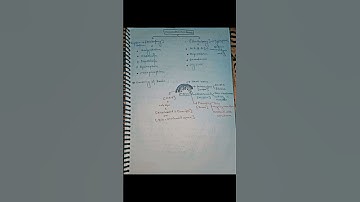 Neural control and coordination|class 11 notes #neet2024