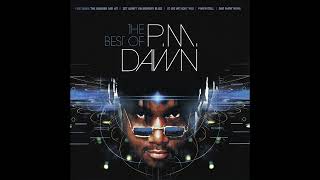 Watch Pm Dawn I Had No Right video