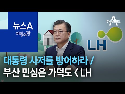 [여랑야랑]민주당 ‘대통령 사저를 방어하라’ / 부산 민심은 가덕도 ᐸ LH | 뉴스A