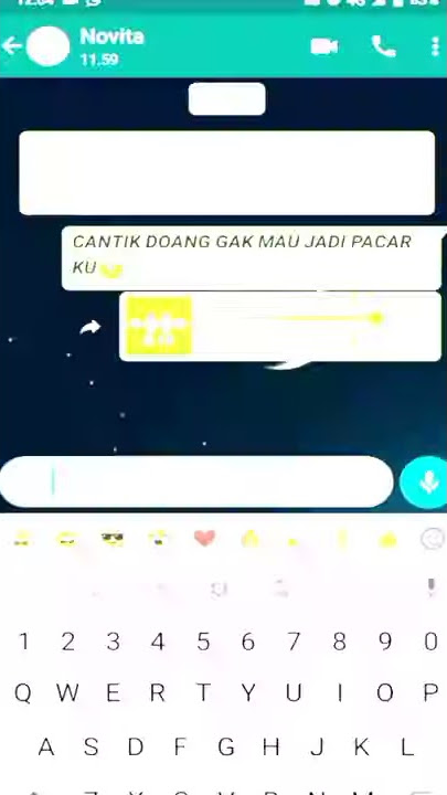 PRESET STORY WA 30 DETIK VERSI CHAT WA |CANTIK DOANG GAK MAU JADI PACAR KU😅😅 | VIRAL TIK TOK