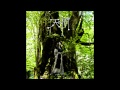 【Audio】【天の樹】Tsuki Amano 天野月 - 05 くれなゐ(Album Version)
