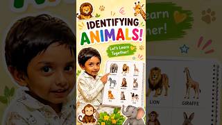 🦁 Identifying Animals with Flashcards! | Let’s Learn Together 🐘🦒#toddlerlearning #youtubeshorts