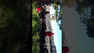Crazy Spinning Cars in Cape Town 25 Minutes Of Pure Bmw Madness Ultimate Burnouts Spinning In Cape Town Compilation