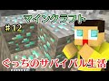 〔マインクラフト〕ぐっちのサバイバル生活Ⅱ♯12