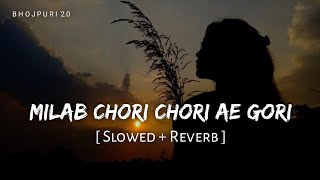 Milab Chori Chori Ae Gori - Lofi (Slowed   Reverb) | Pankaj Matlabi Yadav | New Song | Bhojpuri 2.0