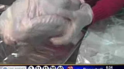 Volunteers Prepare Thanksgiving Meals