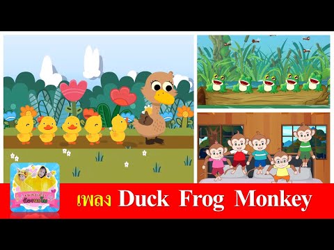 เพลงเด็กภาษาอังกฤษ duck frog monkey 