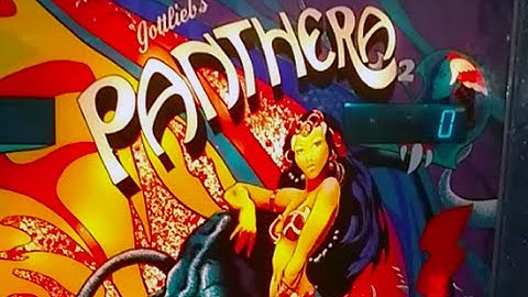 1980 Gottlieb PANTHERA Pinball Machine In Action