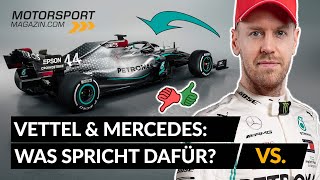 Vettel & Mercedes: Was spricht dafür? Was dagegen?