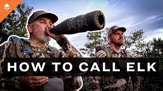 Step-By-Step Guide To Elk Calling | with Dirk Durham