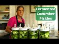 What to do With All These Cucumbers?  Fermented Dill Pickles.
