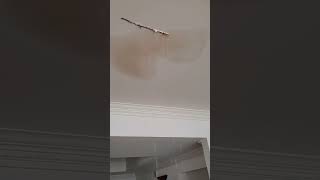Famous Can you guess what was leaking part 3 Profile