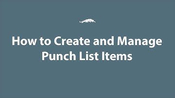 Punch Lists Tutorial Video