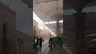 Live Madina | masjid Nabvi صلی اللہ علیہ وآلہ وسلم| #hajj2026 #live #livestreaming  screenshot 3