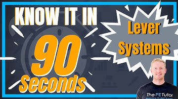 What Is A Lever System