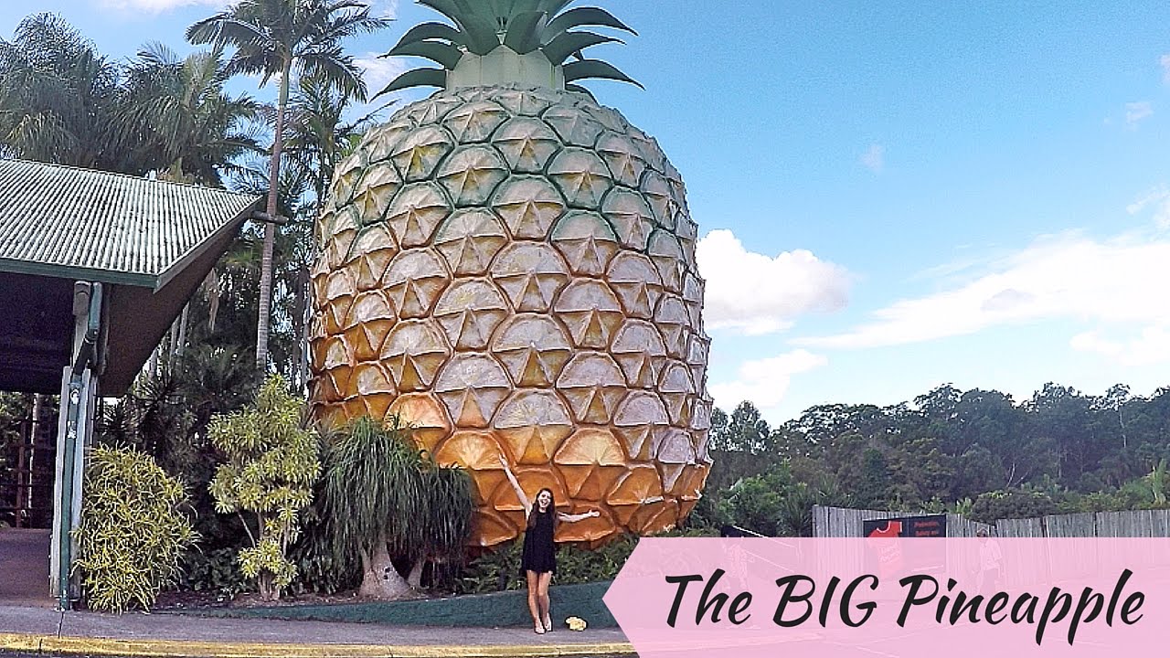 The Big Pineapple YouTube