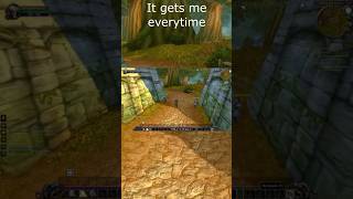 Sometimes it's just about feelings #wowclassic #worldofwarcraft #ElwynnForest