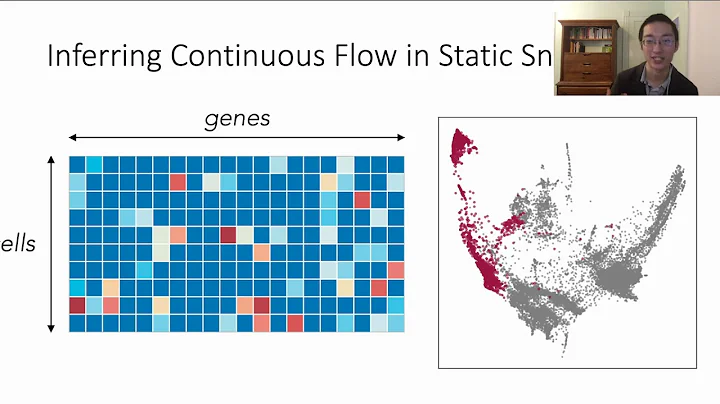 TrajectoryNet: A Dynamic Optimal Transport Network...