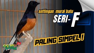 Settingan Murai Batu SERI-F