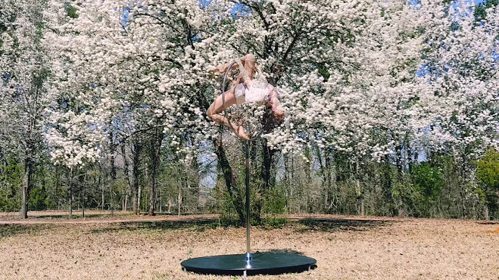 Aerial Lollipop - Constance Palmer
