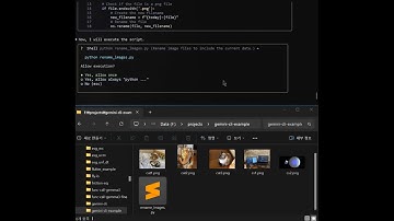 gemini cli vibe coding demo