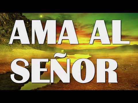 AMA AL SEÑOR