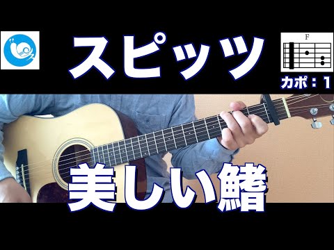スピッツ - 美しい鰭【ギターコード】guitar cover
