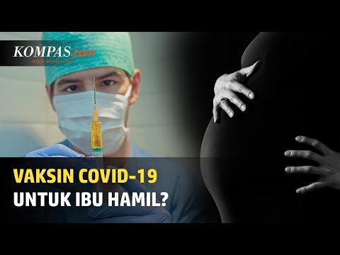 Video: Perlukah ibu mengandung mendapat vaksin covid?