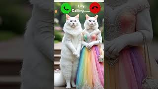 Download Lagu lily calling✨🤙viral 🔥ringtone mi#🤙viralshortvedeo#yt#shot#vedeo#cute#cat#lily#calling#mi#ring#viral# MP3 Download Lagu lily calling✨🤙viral 🔥ringtone mi#🤙viralshortvedeo#yt#shot#vedeo#cute#cat#lily#calling#mi#ring#viral# MP3