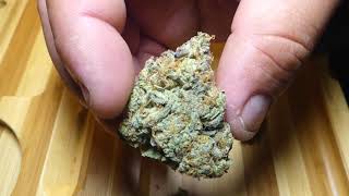 Donkey Butter AAAA Sun Peaks Elevation fr Pacific Grass