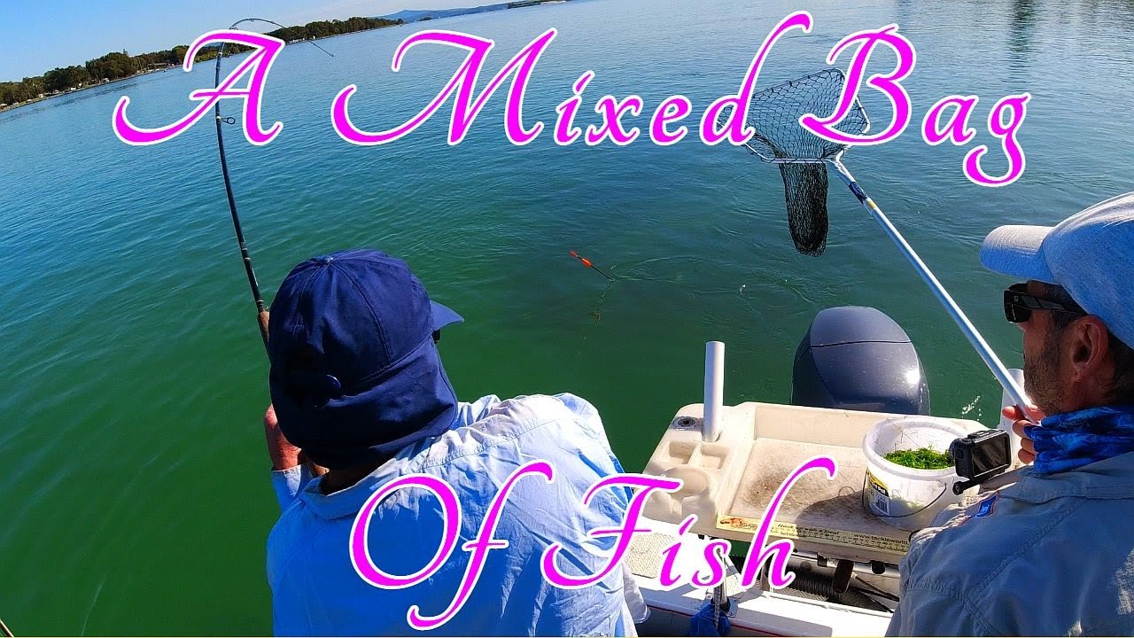 A Mixed Bag Of Fish and a whole lot of fun👍 YouTube