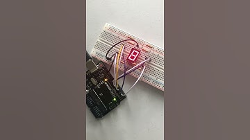 Lab 6 7 Segment