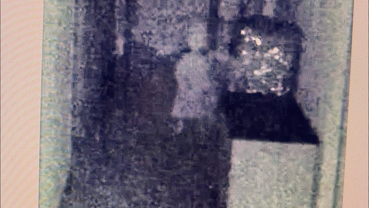 Video Camera Creep Camera Creeps by Amy - YouTube