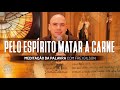 Pelo Espírito matar a carne | (Rm 8, 12-17) #554- Meditação da Palavra