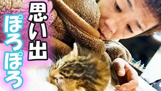 みーちゃんの赤ちゃんの頃の思い出！