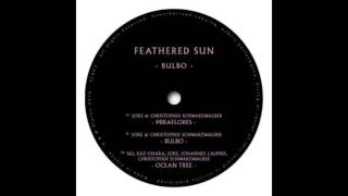 Feathered Sun ‎– Bulbo (Original mix) | Platon Records chords
