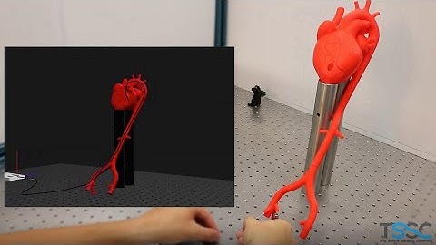 Shape sensing with heart model