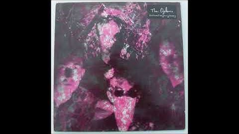 OGDENS - She Made A Everything Groovy