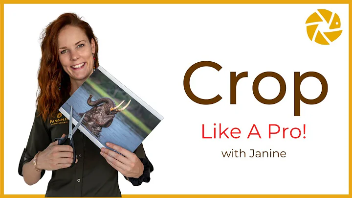 CROP like a PRO. Wildlife photo editing tips with ...