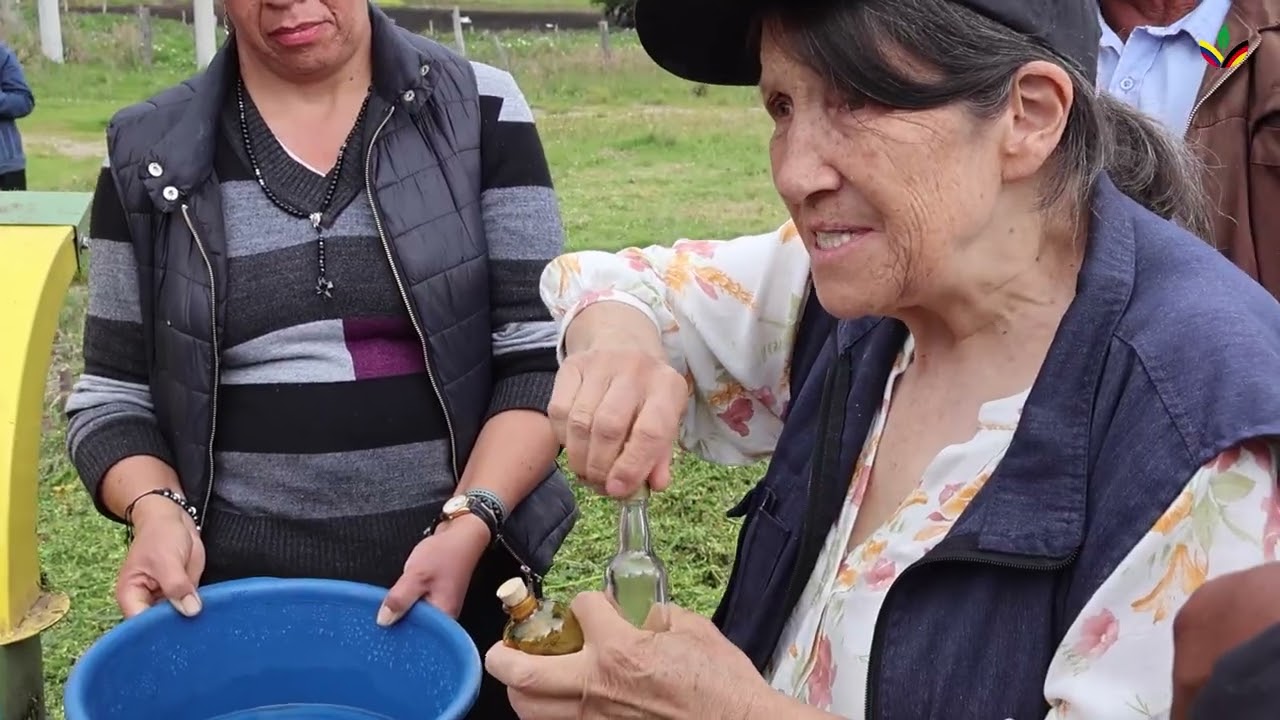 Aprende a hacer compost sin volteo