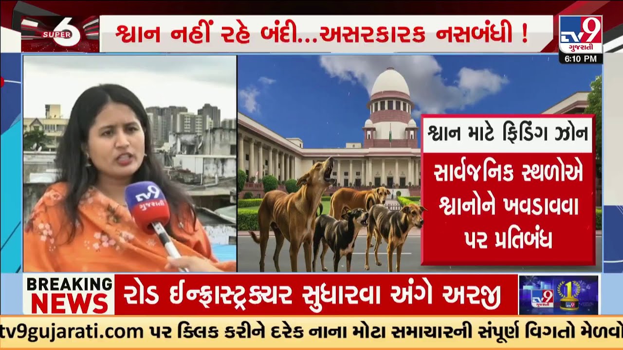 Supreme Court’s Big Stray Dog Ruling: Sterilize, Release, and Ban Public Feeding | TV9Gujarati